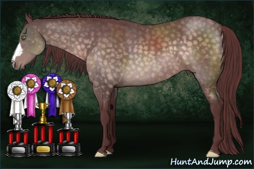 Horse Color:Platinum Chocolate Buckskin 