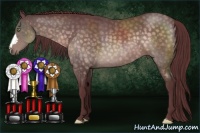 Horse Color:Platinum Chocolate Buckskin