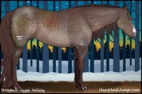 Horse Color:Platinum Chocolate Brown 