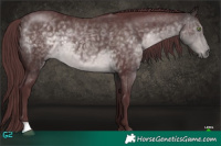 Horse Color:Platinum Chocolate Buckskin 