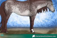 Horse Color:Platinum Chocolate Buckskin 