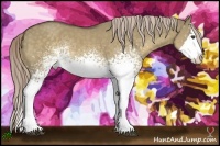 Horse Color:White Spotted Chocolate Palomino Dun Splash