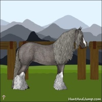 Horse Color:Liver Red Roan Mushroom Rabicano 