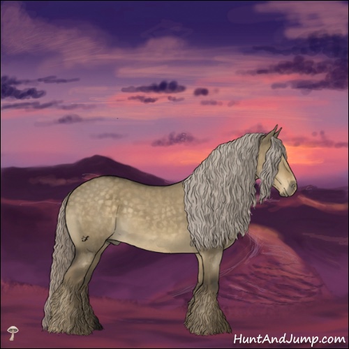 Horse Color:Chocolate Palomino Dun Mushroom Rabicano 