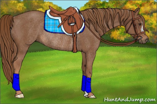 Horse Color:Chestnut Rabicano 