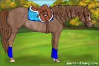 Horse Color:Chestnut Rabicano