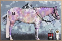 Horse Color:Platinum Nacre Watercolor Chocolate Silver Amber Champagne Splash Tobiano 
