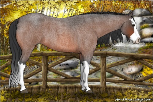 Horse Color:Bay Roan Splash