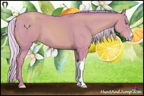Horse Color:Watercolor Silver Sable Cream Champagne