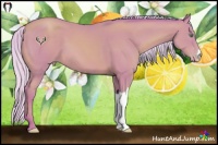 Horse Color:Watercolor Silver Sable Cream Champagne 