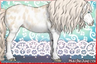 Horse Color:White Spotted Palomino Pearl Dun Near Leopard 