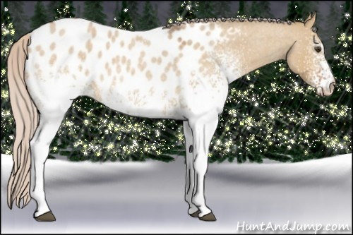 Horse Color:White Spotted Silver Buckskin Roan Dun Appaloosa