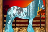 Horse Color:Thunderstruck White Spotted Black Ice