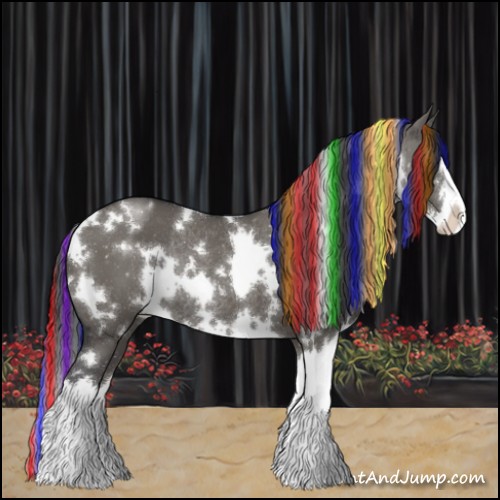 Horse Color:Painted White Spotted Grullo Splash Rabicano
