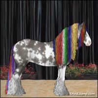 Horse Color:Painted White Spotted Grullo Splash Rabicano