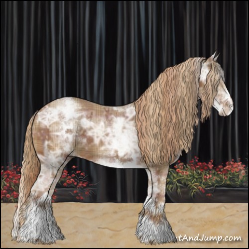 Horse Color:Plaid  White Spotted Chestnut Ice 