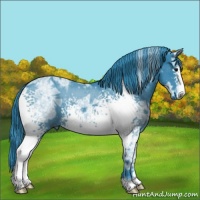 Horse Color:Watercolor White Spotted Black Ice