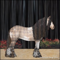 Horse Color:Plaid  Brown Ice 