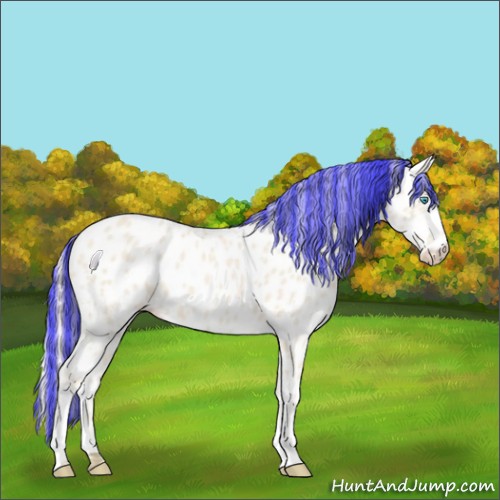 Horse Color:Painted Cremello Appaloosa 