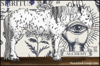 Horse Color:Blue Roan Appaloosa 