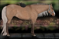 Horse Color:Silver Brown Dun 