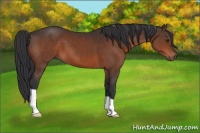 Horse Color:Brown 