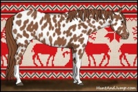 Horse Color:Chestnut Appaloosa