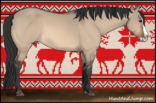 Horse Color:Bay Dun Splash 