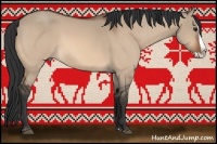 Horse Color:Bay Dun Splash 