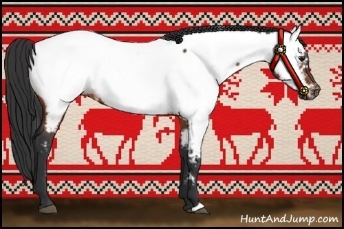 Horse Color:Bay Appaloosa 