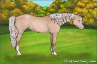 Horse Color:Silver Sable Champagne Sabino 