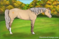 Horse Color:Silver Amber Cream Champagne Dun Sabino 