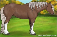 Horse Color:Silver Black 