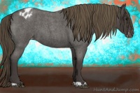 Horse Color:Smoky Blue Roan Blanket 