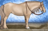 Horse Color:Chocolate Palomino Pearl