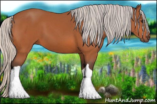 Horse Color:Silver Bay 