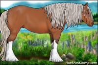 Horse Color:Silver Bay 