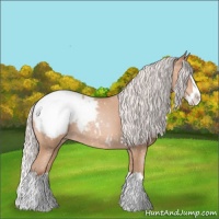 Horse Color:Silver Amber Champagne Splash Appaloosa 