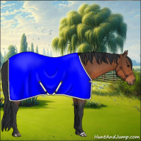 Horse Color:Bay Rabicano 