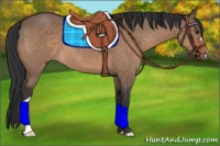 Horse Color:Brown Dun 