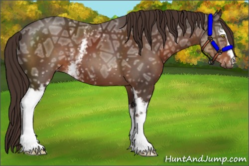 Horse Color:White Spotted Liver Chestnut Ice 