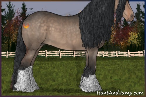 Horse Color:Brown Dun 