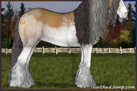 Horse Color:White Spotted Buckskin Dun Sabino