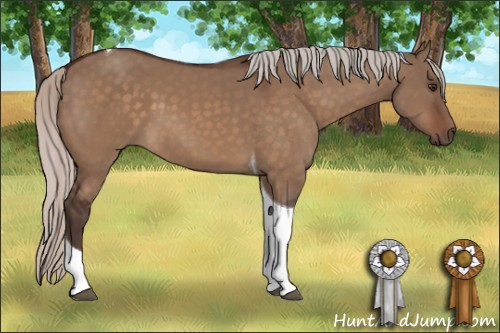 Horse Color:Silver Brown Dun Tobiano