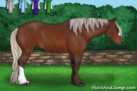 Horse Color:Silver Brown 