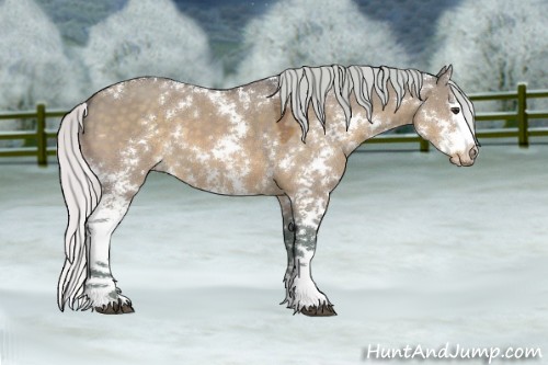 Horse Color:Watercolor Silver Brown Dun Sabino Splash 