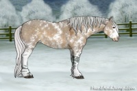 Horse Color:Watercolor Silver Brown Dun Sabino Splash 