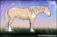 Horse Color:Watercolor White Spotted Silver Brown Dun Splash Rabicano 