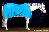 Horse Color:Grullo Sabino 