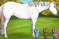 Horse Color:Red Dun Sabino Splash 